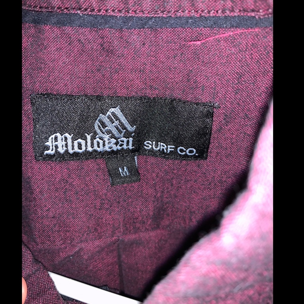 Button Down! - Picture 5 of 5